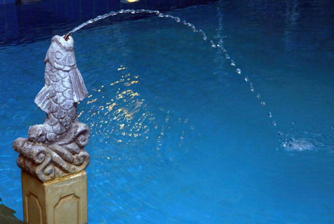 Curved stream of water spouting gracefully from a stone fish shaped fountain, creating a serene atmosphere in a vibrant blue pool